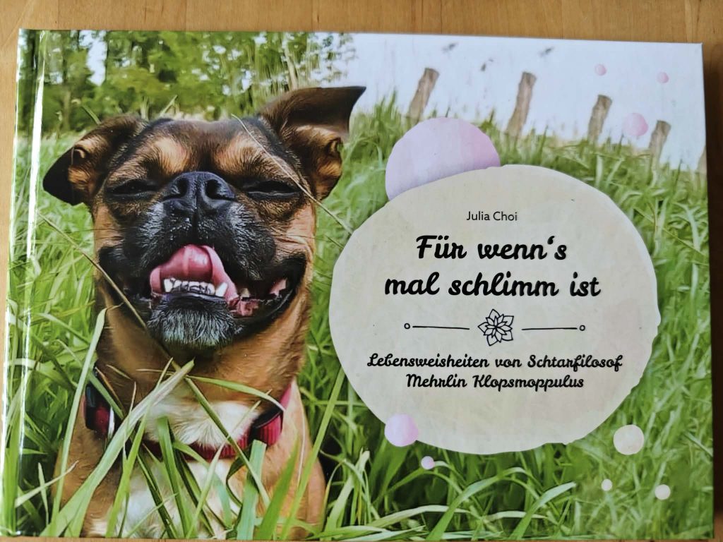 Julia Choi - Für wenn's mal schlimm ist